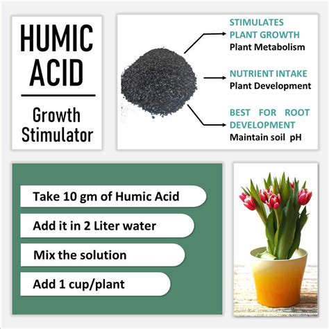 Buy Npk 20 20 20 Fertilizers Organic Humic Acid Fertilizer At Best