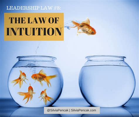 The Law Of Intuition Get Good At Leadership