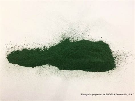 Cianoalgae Tu Tienda Online De Spirulina Y Otras Microalgas