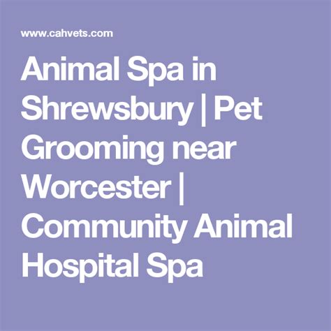 Animal Spa In Shrewsbury Pet Grooming Near Worcester Community