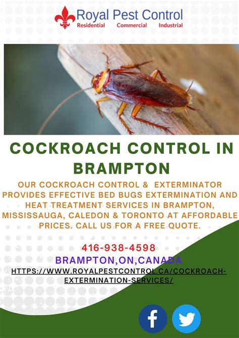 Cockroach Control In Brampton By Royalpest On Deviantart