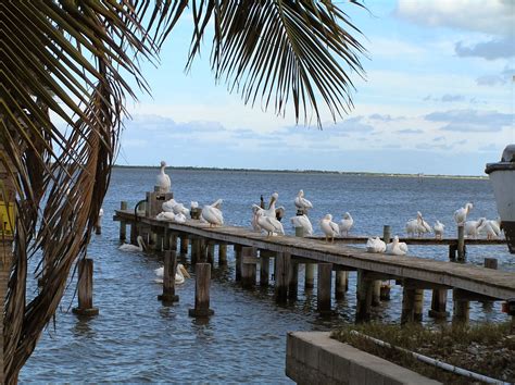 Sebastian Florida Things To Do: Christmas in Sebastian