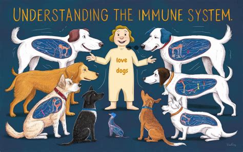 How does the immune system work in dogs? - The Animal Naturopath