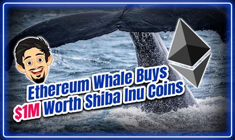 Ethereum Whale Buys M Worth Shiba Inu Coins