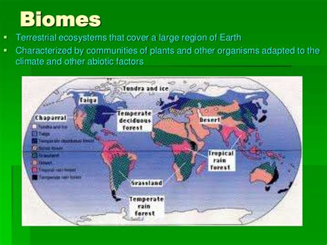 Biomes Ppt