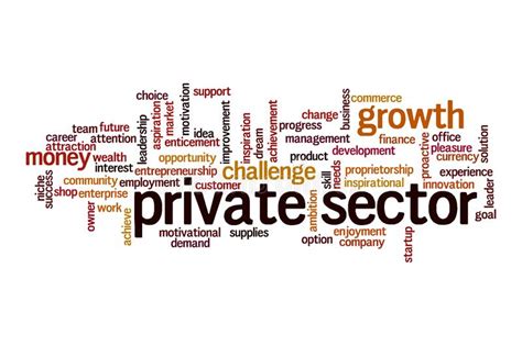 Private Sectors Role In Creating A More Egalitarian Society