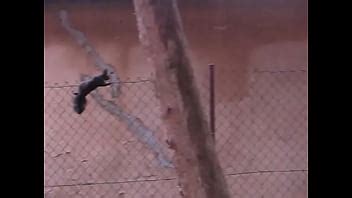 De La Nature Xvideos