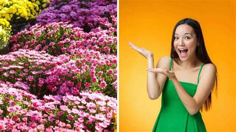 A Woman In A Green Dress Standing Next To Colorful Flowers And Pointing