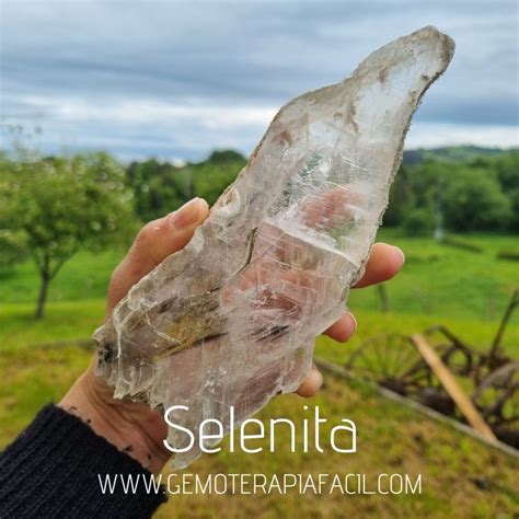 Selenita Bruto Modelo Gemoterapia F Cil Tienda De Minerales Online