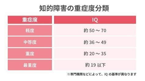 軽度知的障害とは？診断基準や特性、受けられる福祉サービス・支援について解説 Litalicoライフ