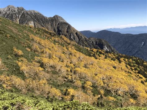 紅葉登山2024【北陸・東海編】秋だけの絶景を！ おすすめの山と見頃まとめ＜立山、白山、大台ヶ原、乗鞍岳、御在所岳など＞ Yamap