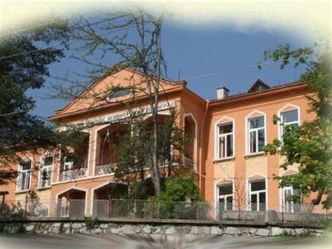 ОСНОВНО УЧИЛИЩЕ НЕОФИТ РИЛСКИ, Град Велинград - Галерия