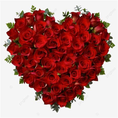 Red Rose Flowers Heart Shape Frame Isolated Red Rose Flowers Heart