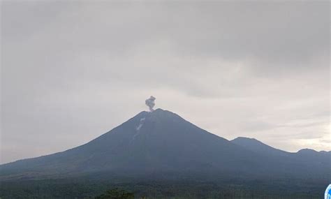 Gunung Semeru Kembali Erupsi Dan Banjir Bandang Lahar Dingin