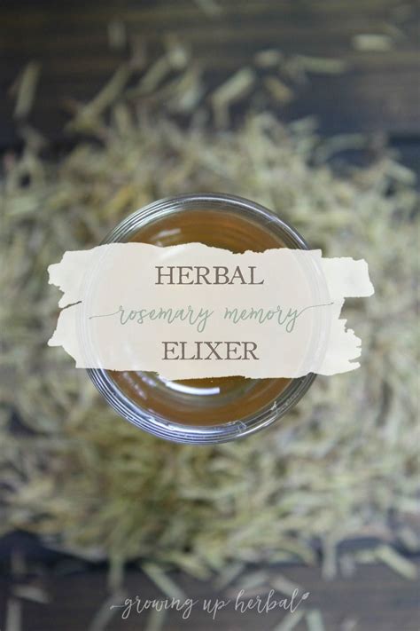 Herbal Rosemary Memory Elixir Growing Up Herbal Herbalism Herbal