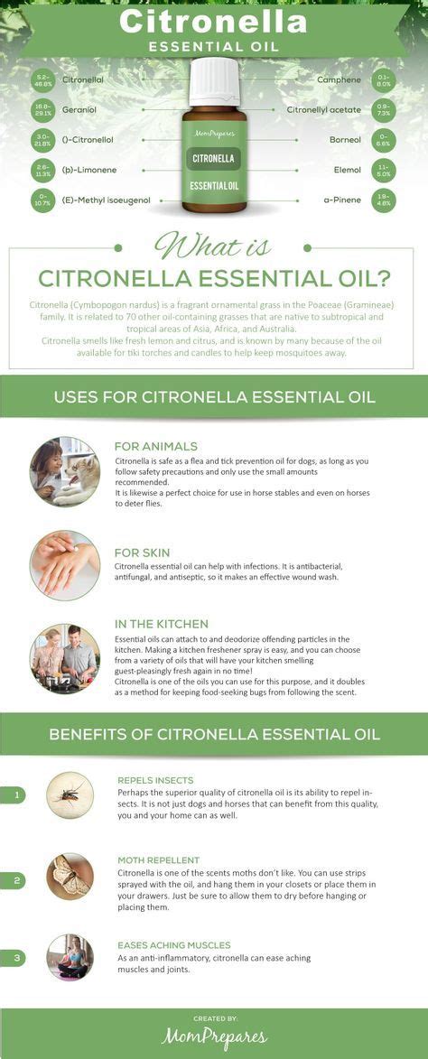 Citronella Essential Oil The Complete Uses And Benefits Guide In 2023 Citronella Essential