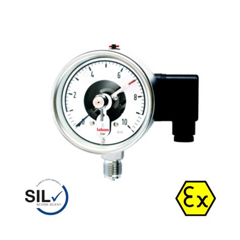 Labom Pressure Switch With Bourdon Tube BP4200 Process Instruments