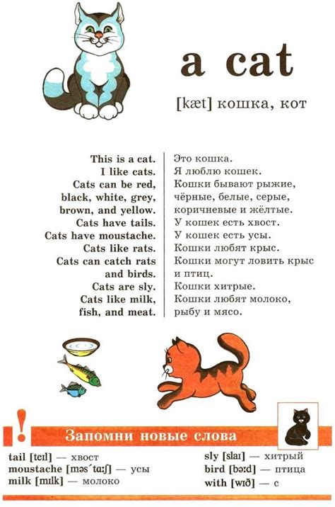 СОБАКА, КОШКА И ДРУГИЕ - УЧУ АНГЛИЙСКИЙ - ИЗУЧЕНИЕ ИНОСТРАННЫХ ЯЗЫКОВ В ...