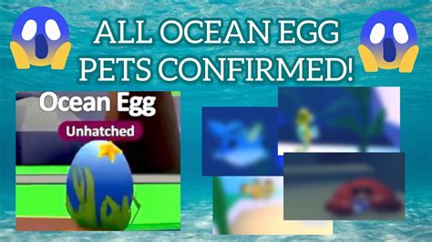 All Ocean Egg Pets Confirmed Roblox Adopt Me Youtube