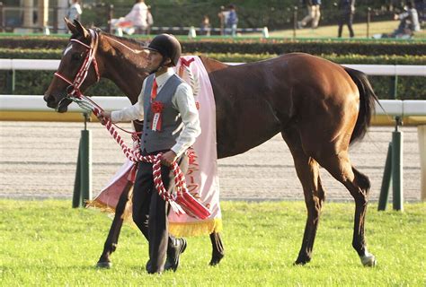 【jraエリザベス女王杯2024予想】ラヴェル復権へ、好条件揃った 競馬ヘッドライン