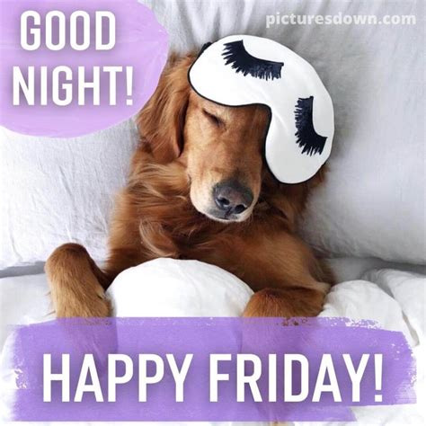 Good Night Friday Image Masked Dog