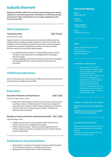 Academic CV Guide Template And Examples