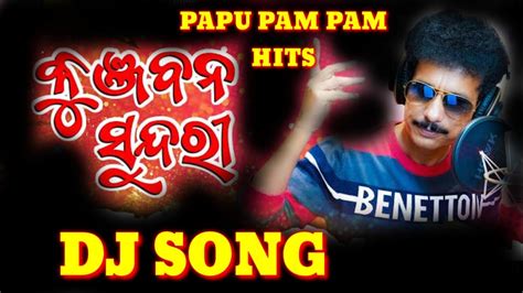 PAPU PAM PAM HIT SONG KUNJABANA SUNDARI DJ ODIA SONG Dj Djodiasong