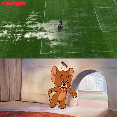 RedGol - Yo al ver el estado de la cancha del estadio...