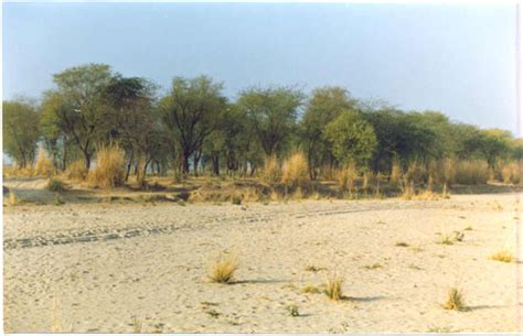 Desertification Erosion And Conservation Of Soils Of Rajasthan