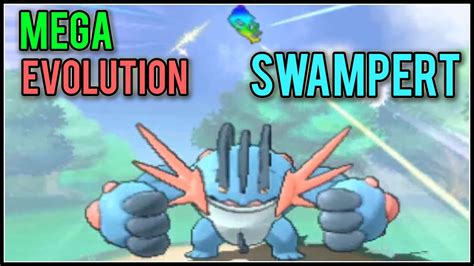 Swampert Evolution