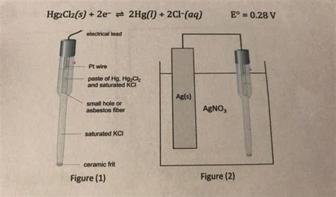 A Saturated Calomel Electrode SCE Is A Reference Chegg