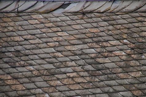 DIY roof shingles - DIY Roofs