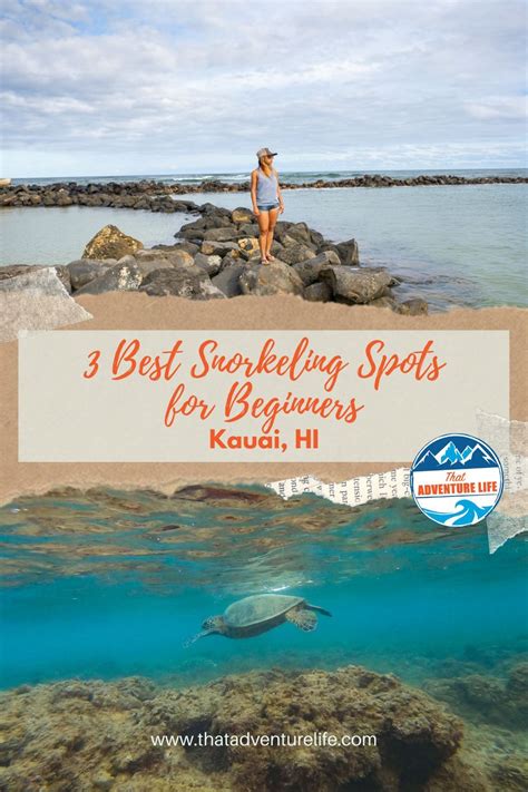 Top 3 Snorkeling Spots In Kauai Hawaii Perfect For Beginners Best