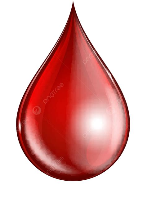 Blood Drop Isolated On White Background Icon Concept Medicine Vector