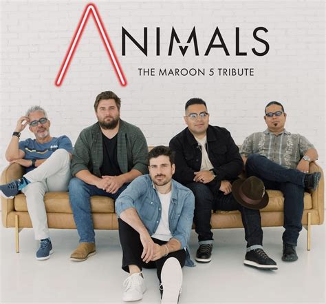 Maroon 5 Animals Booking House