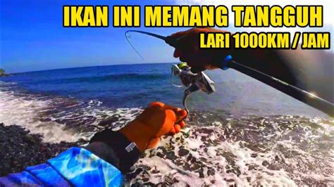 Ultralight Casting Dari Pinggir Pantai Mancing Langsung Masak