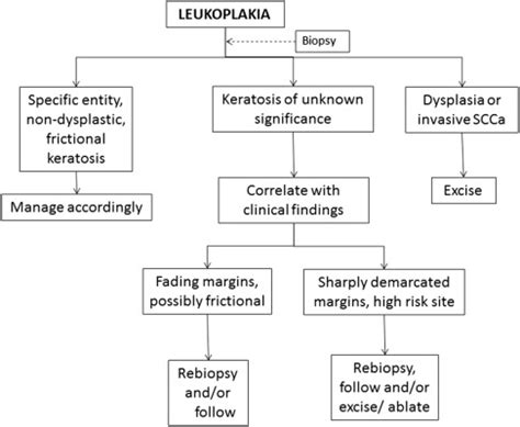 Keratosis Of Unknown Significance And Leukoplakia A Preliminary Study