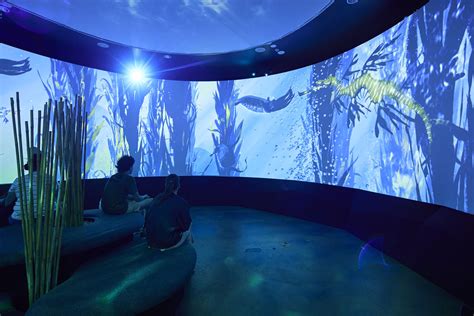 Submerged Immersive Experience At Sea Life Melbourne Aquarium Busy