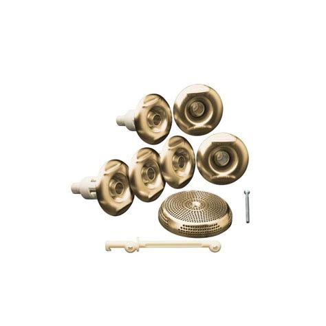 Kohler Whirlpool Trim Kit With Six Jets Vibrant Brushed Bronze At