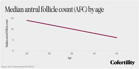 What Exactly Is Antral Follicle Count Afc