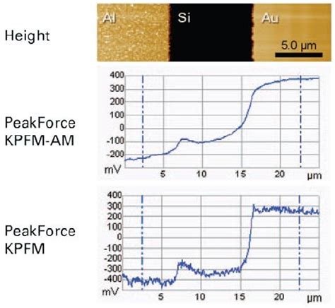 High Resolution Quantitative Work Function Measurements With PeakForce