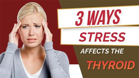 3 Ways That Stress Affects The Thyroid Youtube