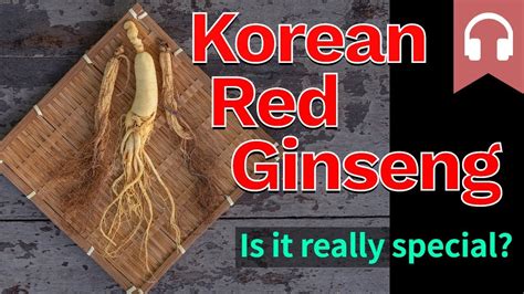 Korean Red Ginseng Proven Benefits Youtube