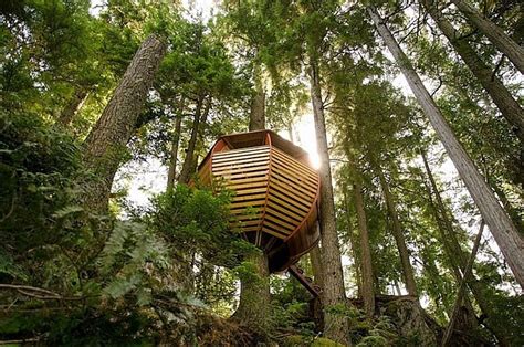 Coolest Cabins: 'The Acorn' cabin