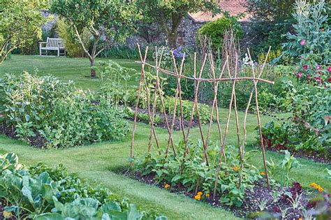 Vegetable Garden Layout Ideas Planting Fasci Garden