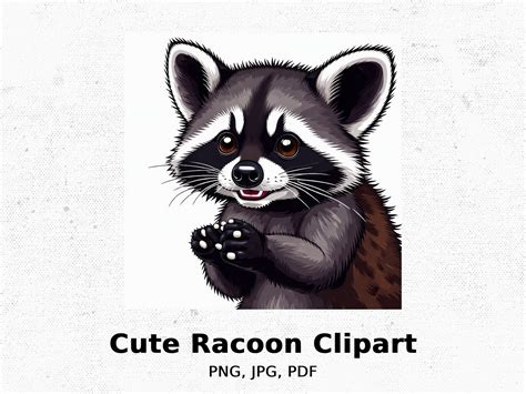 Cute Raccoon Clip Art, Adorable Cartoon Raccoon Digital Download ...