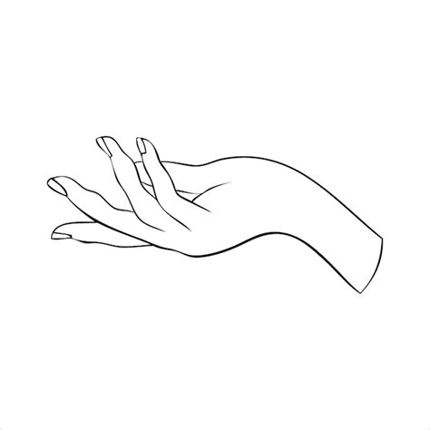 Premium Vector Linear Silhouette Of An Elegant Female Or Witch Hand