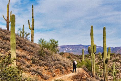 THE 10 BEST Things To Do In Phoenix 2025 With Photos Tripadvisor