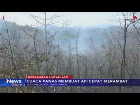 Akibat Puntung Rokok Dan Cuaca Panas Hutan Jati Seluas 5 Hektar Hangus