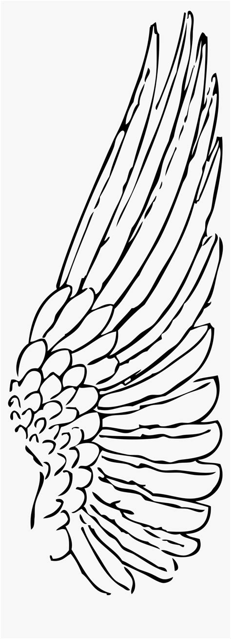 Angel Wings Side View Drawing Hd Png Download Transparent Png Image